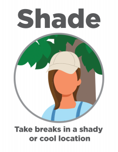 Take breaks in a shady or cool location